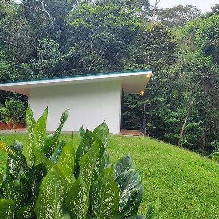 فيلا Cascada Elysiana Platanillo المظهر الخارجي الصورة