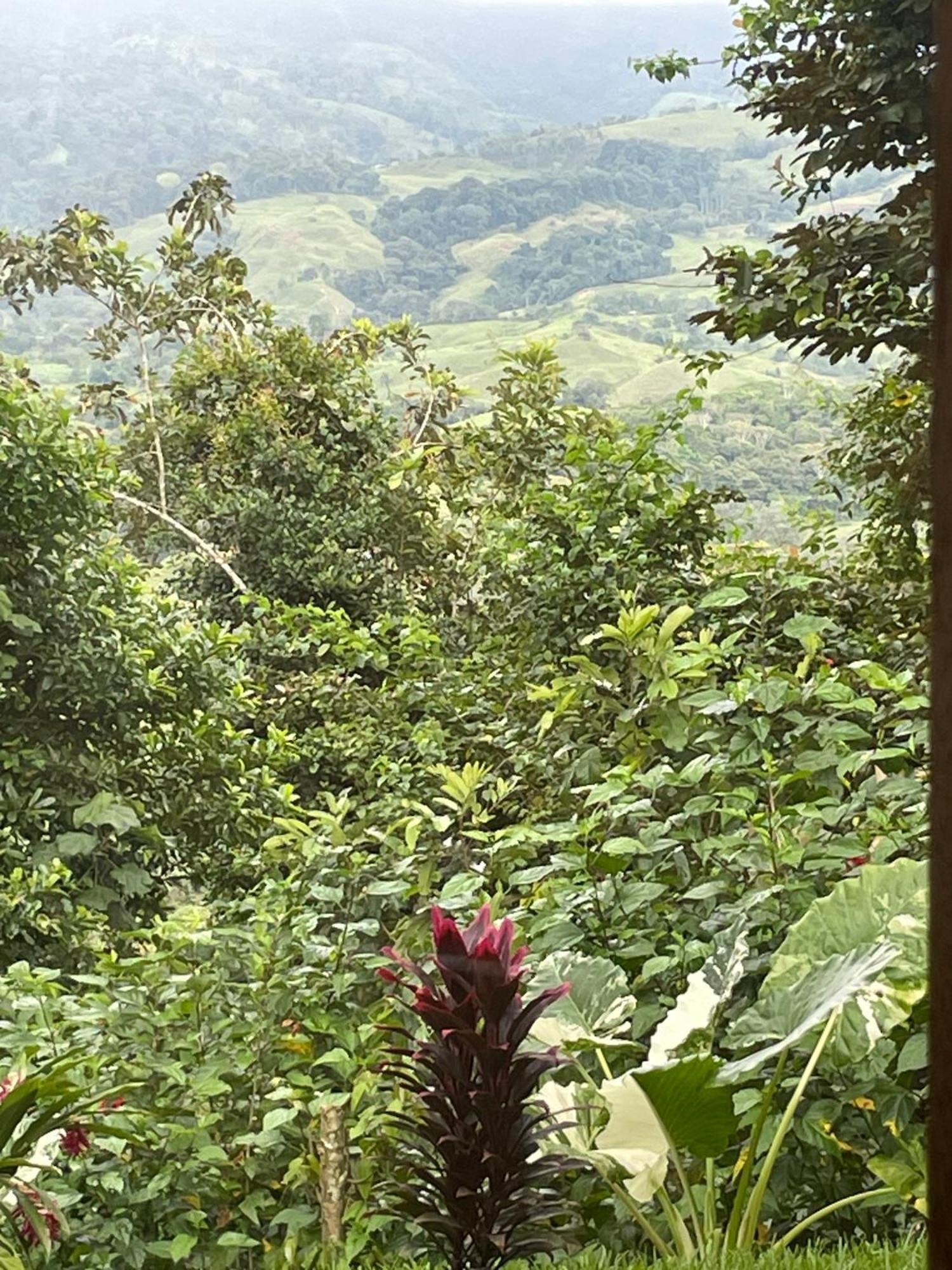 فيلا Cascada Elysiana Platanillo المظهر الخارجي الصورة