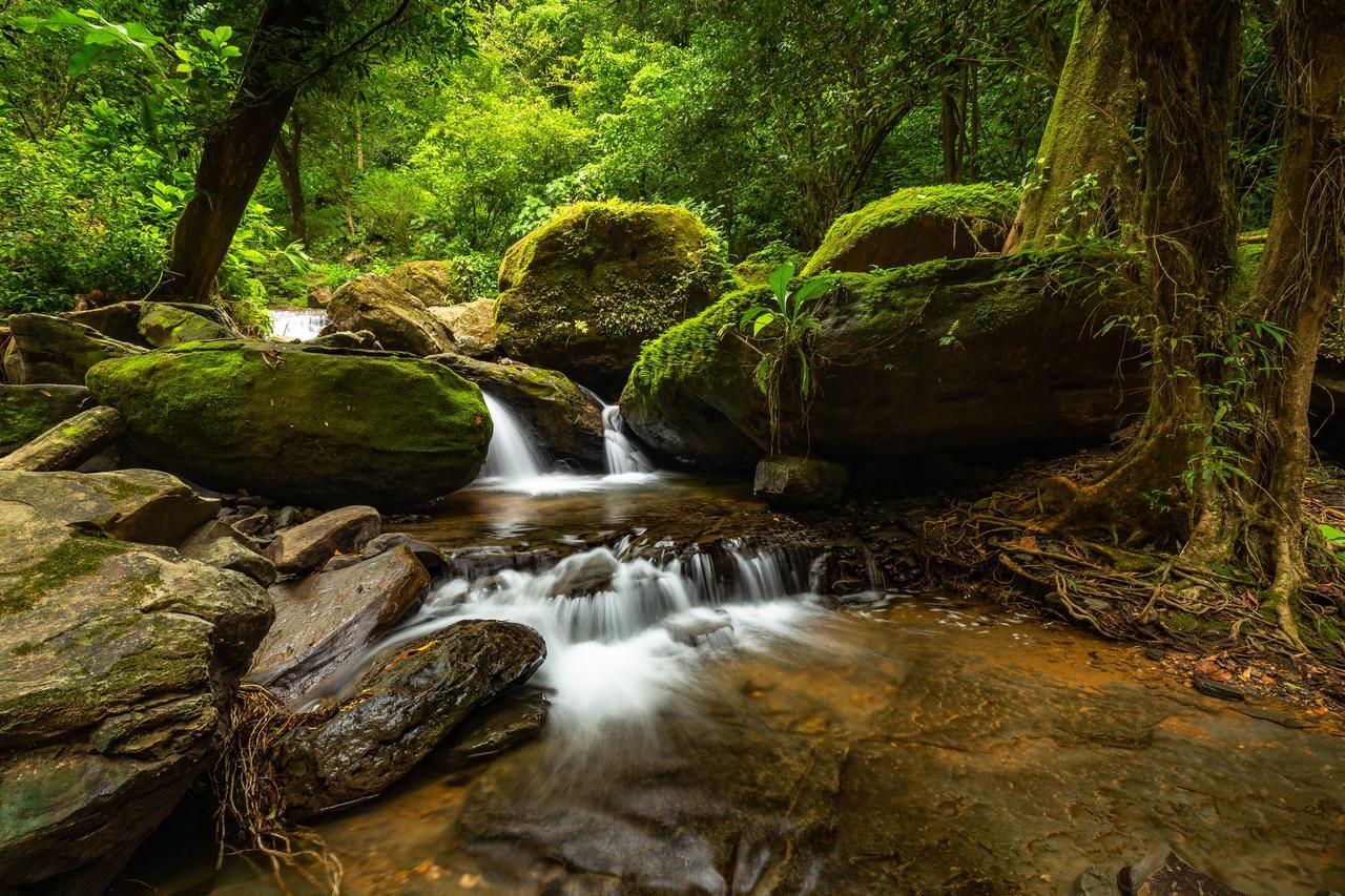 فيلا Cascada Elysiana Platanillo المظهر الخارجي الصورة