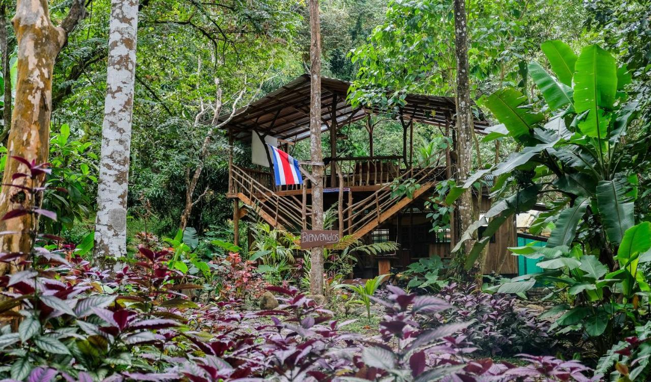 فيلا Cascada Elysiana Platanillo المظهر الخارجي الصورة